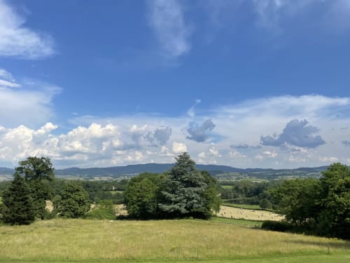 Champs verdoyants et arbres surplombant la campagne du Morvan depuis le Château de Vaux, Étang sur Arroux