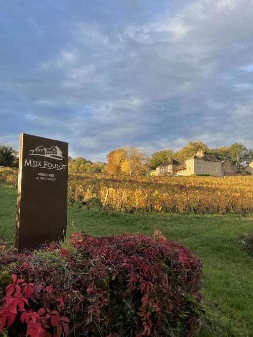 Meix Foulot vineyard estate with autumn foliage and château near Étang sur Arroux, France