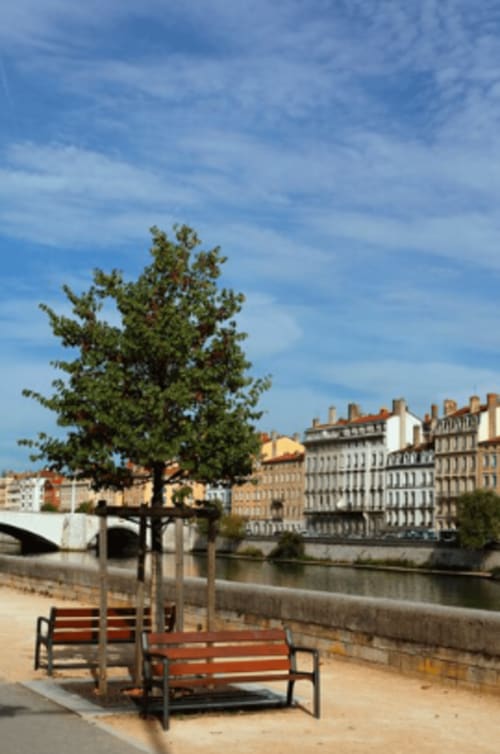 Venez vivre une expérience unique à la Maison Sommet Clos les Arbories, entre Saint-Émilion et Fronsac. Nos chambres d'hôtes confortables vous attendent pour un séjour apaisant, avec la possibilité d'explorer les merveilles viticoles et culturelles de la région. Libourne est à seulement 10 minutes. 