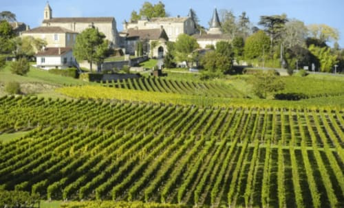 Vacances à Saint-Émilion : séjournez dans nos chambres d'hôtes de la Maison Sommet Clos les Arbories, où le charme des vignes rencontre le confort moderne. Détendez-vous dans un cadre paisible et explorez les trésors viticoles de cette région classée au patrimoine mondial de l'UNESCO.