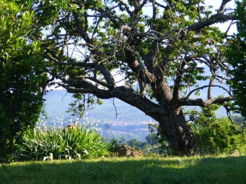 Il giardino e Santa Fiora