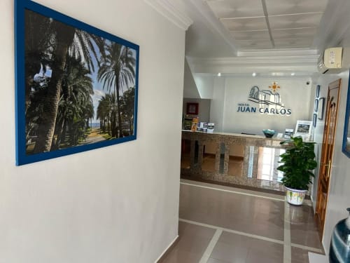 Mostrador de recepción del Hostal Juan Carlos en Carboneras con arte de palmeras y entrada acogedora