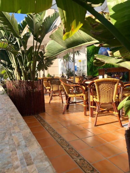 Terraza con asientos en el Hostal Juan Carlos de Carboneras, con sillas de mimbre y exuberante vegetación tropical