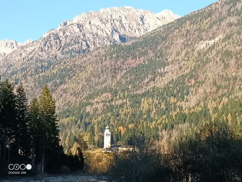 La Tana dell'Orso,splendida struttura Agrituristica appena rinnovata nel centro storico di Forni di Sopra ha degli splendidi terrazzi dove è consentito fumare. Gli appartamenti sono tutti dotati di WeFi fibra super veloce , Smart TV satellitare + Netflix. Inoltre la struttura ha tre parcheggi e consente l' accesso agli animali :Free Parking e Pet frendly. Inoltre in struttura troverete chi su richiesta ofre il servizio di accompagnatore per splendide escursioni in una natura incontaminata ricca di sorprese e potrete visitare i posti più belli e nascosti del comprensorio di Forni di Sopra. www.giacomelli-house.com