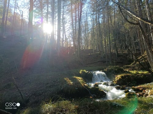 La Tana dell'Orso,splendida struttura Agrituristica appena rinnovata nel centro storico di Forni di Sopra ha degli splendidi terrazzi dove è consentito fumare. Gli appartamenti sono tutti dotati di WeFi fibra super veloce , Smart TV satellitare + Netflix. Inoltre la struttura ha tre parcheggi e consente l' accesso agli animali :Free Parking e Pet frendly. Inoltre in struttura troverete chi su richiesta ofre il servizio di accompagnatore per splendide escursioni in una natura incontaminata ricca di sorprese e potrete visitare i posti più belli e nascosti del comprensorio di Forni di Sopra 