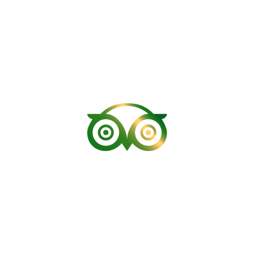 Green and gold owl logo for Can Gat Vell bed and breakfast in Girona, Catalonia