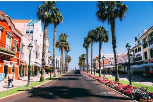Palm-lined street at Casas de Juromenha with colorful Portuguese buildings and flower beds under clear blue sky