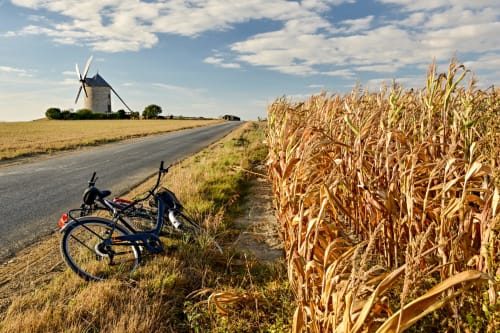 Vue champêtre du moulin de Moidrey avec bicyclettes près des Chambres d'hôtes Le Petit Moulin Rouge à Beauvoir