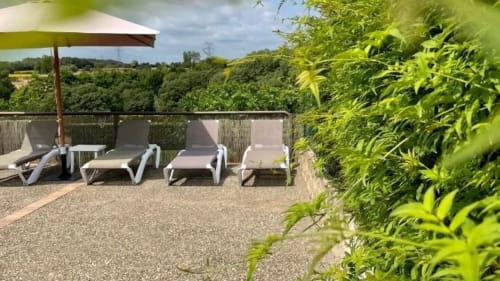 Soleada terraza de la casa rural Can Gat Vell en Girona con tumbonas, sombrilla y exuberantes jardines del Empordà.