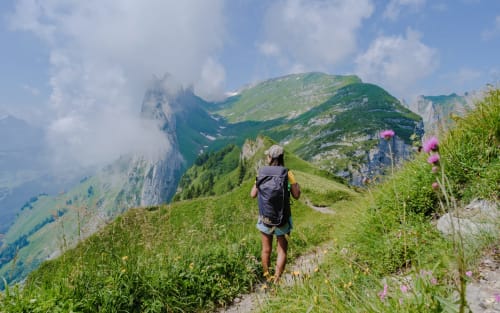 Randonnées Duplex les Myrtilles France Haute-Savoie Les Carroz