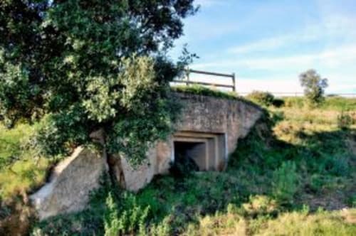 Rustic stone bridge with ivy at Can Gat Vell B&B in Empordà, Girona, Catalonia