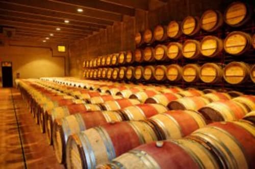 Wine barrel cellar at Can Gat Vell winery in Girona, Catalonia, with rows of wooden barrels and ambient lighting
