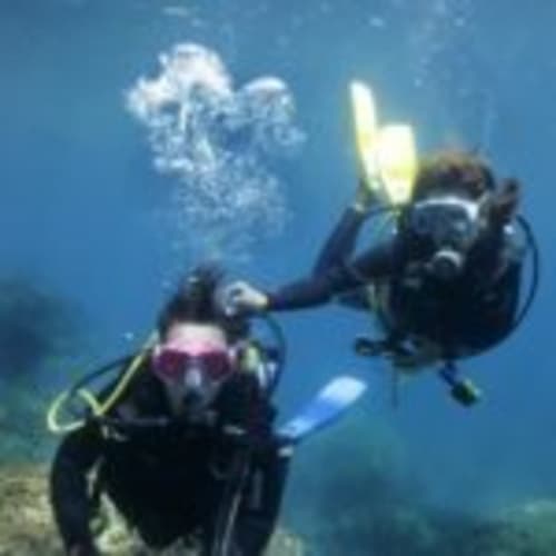 Two scuba divers underwater exploring near Can Gat Vell in Girona, Empordà-Catalunya