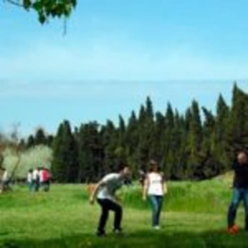 Guests playing in green meadow at Can Gat Vell rural B&B in Girona, Empordà with forest backdrop