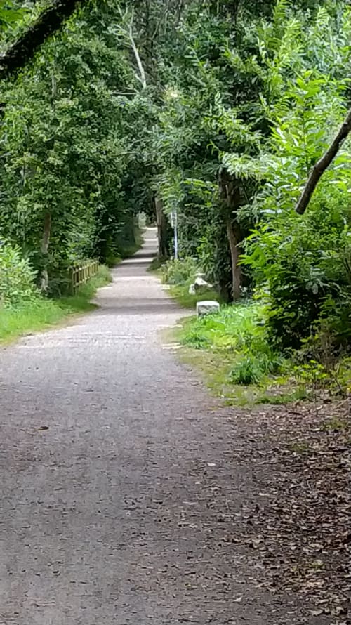 Lush tree-lined pathway at Les logis de Kergoulou B&B in Concarneau, France