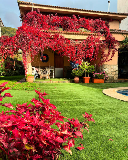 Rustic villa exterior with vibrant red ivy-covered pergola, green lawn, and terracotta pots at Casa Rural Villa del Jerte