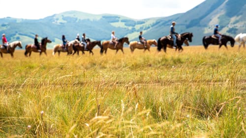 Umbria casale farnia equitazione