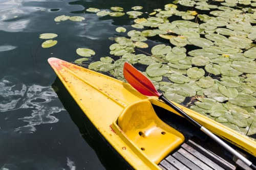 canoë jaune au milieu des nénuphars 