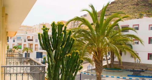 Hostal Juan Carlos en Carboneras con edificios blancos, cactus, palmeras y arquitectura costera con persianas azules