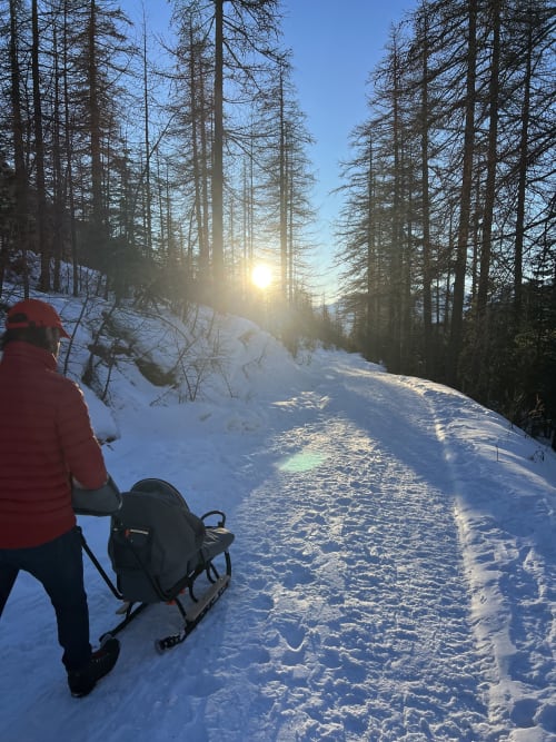 Person sledding down snowy slope at Les Tanières de Montgenèvre with larch trees