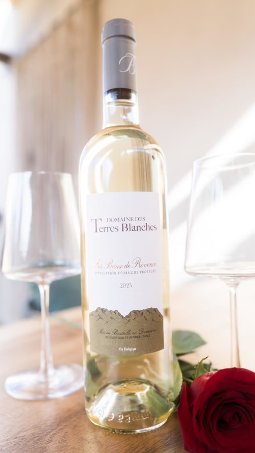 domaine terres blanches vin blanc l'Olive sacrée love room Provence Cabannes France
