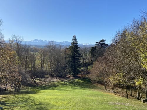 Vue pittoresque du printemps au Domaine de Bize avec ses pelouses verdoyantes, arbres parsemés et les Pyrénées enneigées