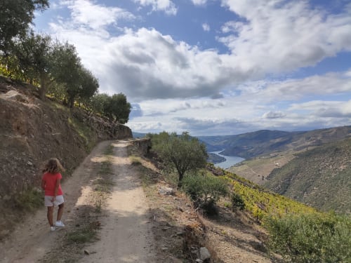 Trilho de caminhada com vista para o vale do Douro perto da Quinta do Fraguil, Valença do Douro, Portugal
