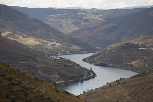 Vinhedos em socalcos com vista para o vale do Douro perto da Quinta do Fraguil em Valença do Douro, Portugal