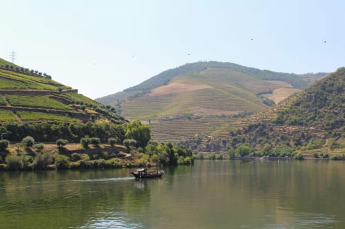 Vale do Douro com vinhedos em socalcos e barco tradicional perto da Quinta do Fraguil, Valença do Douro, Portugal