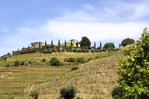 Quinta Do Fraguil villa on hilltop with cypress trees and vineyard landscape in Valença do Douro, Portugal