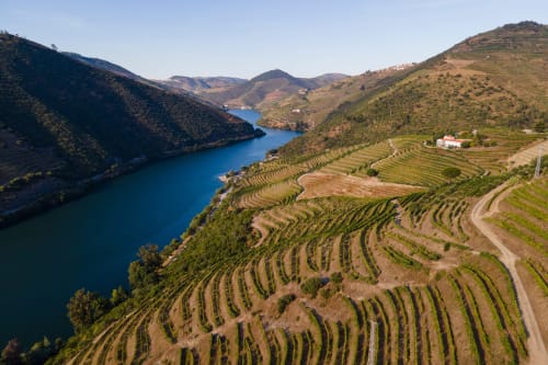 Terraced vineyards overlooking the Douro River valley near Quinta Do Fraguil, Valença do Douro Portugal