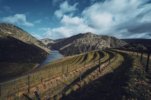 Quinta Do Fraguil vineyard overlooking the Douro River valley with terraced grapevines and rolling hills