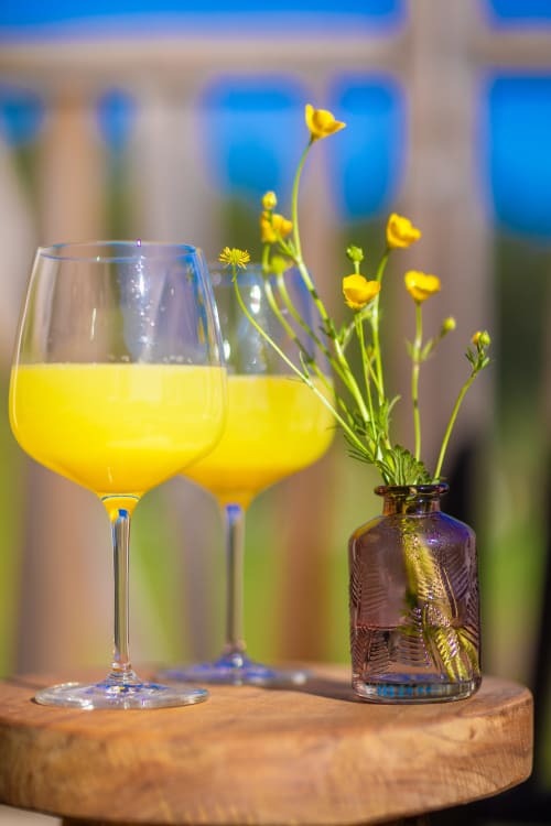 Deux verres de limonade fraîche avec des fleurs sauvages jaunes au Domaine de Campagnac, Carsac-Aillac