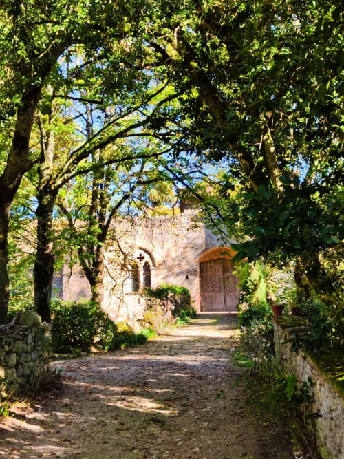 Allée bordée d'arbres menant à l'entrée de Le Rêve d'Alice à Saint-Puy, France, avec une porte rustique en bois