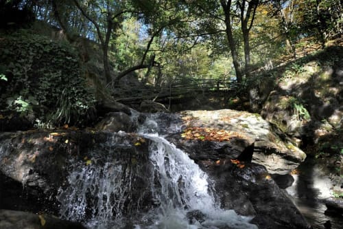 Cascade de ruisseau forestier près de l'Hôtel Saint Roch à Saint Ybard, France, avec rives rocheuses et voûte boisée