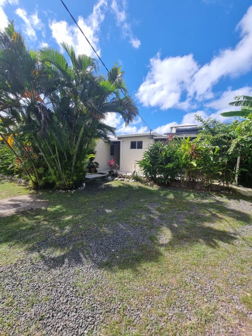 Gites Kaladja studio with tropical garden in Port-Louis, Guadeloupe. White bungalow surrounded by palm trees and lush