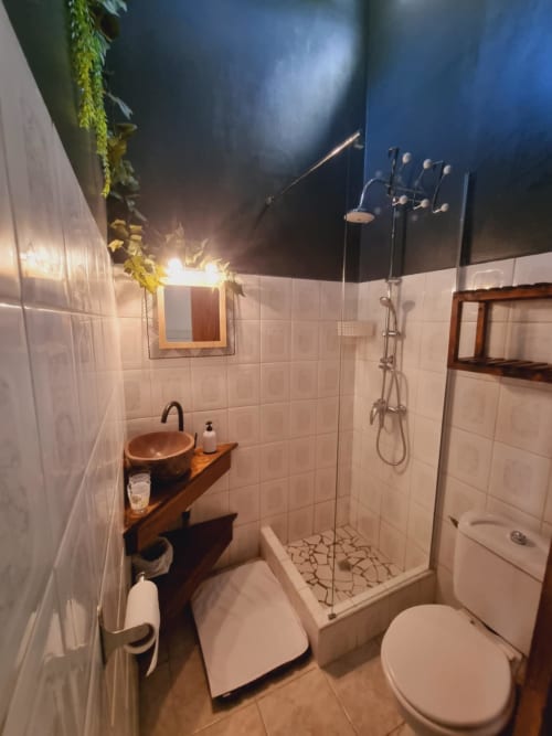 Modern bathroom in Lewoz apartment at Gites Kaladja, Port-Louis with wooden sink, glass shower, toilet, and decorative plants
