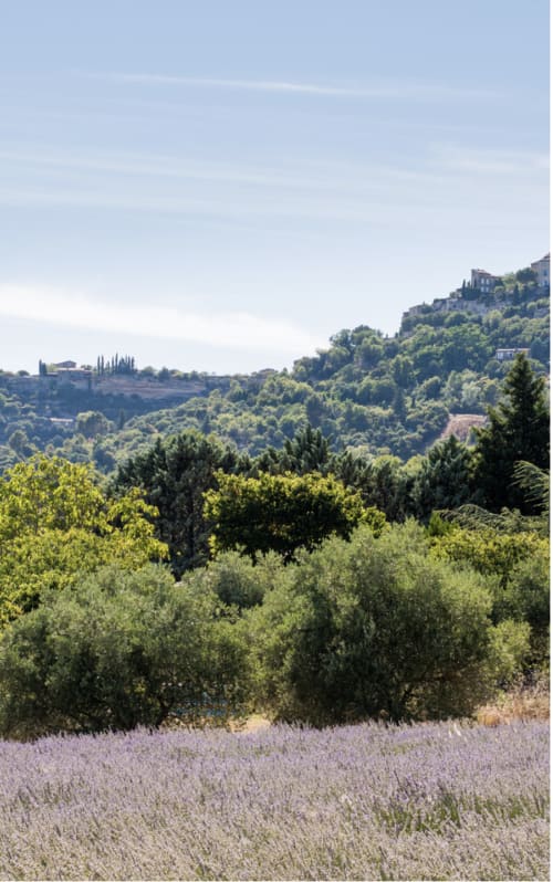 Logement insolite. Pépiite. Paysage de Provence
