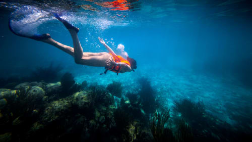 Plongeur en apnée explorant la barrière de corail près de  Marina Di Cavu à Bonifacio, dans les eaux méditerranéennes turquoises de la Corse