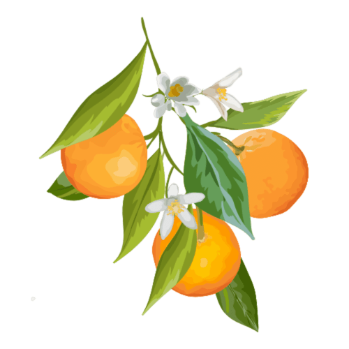 Corte Mercurio, bed and breakfast, B&B Ugento, boutique stay, struttura storica, historic residence, charme Salento, Salento charm, charme Puglia, Puglia charm, camere eleganti, elegant rooms, giardino interno, garden rooms, colazione in giardino, breakfast in garden, vacanza autentica, authentic stay, soggiorno romantico, romantic getaway, ospitalità pugliese, warm hospitality, relax Salento, relaxing stay, vacanza in Puglia, Puglia vacation, centro storico Ugento, historic centre Ugento, camere con comfort, comfort rooms, stile mediterraneo, Mediterranean style, arredamento tipico, local decor, atmosfera rilassante, relaxing atmosphere, aria condizionata, air conditioning, wifi gratuito, free wifi, bagno privato, private bathroom, colazione inclusa, breakfast included, esperienza autentica, authentic experience, vicino al mare, near sea, turismo in Puglia, tourism in Puglia, spiagge vicine, nearby beaches, mare Salento, Salento sea, patrimonio culturale, cultural heritage, architettura storica, historic architecture, ospitalità personalizzata, personalized hospitality, recensioni positive, positive reviews, luce naturale, natural light, dettagli architettonici, architectural details, posizione strategica, strategic location, charme autentico, authentic charm, Torre San Giovanni 