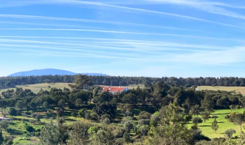 3.6Ha property in the countryside