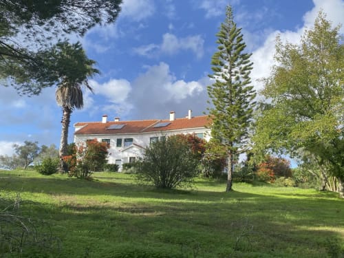 double villa surrounded by a garden