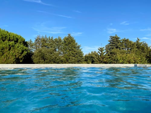 Swimming pool with trees in the background