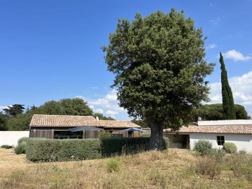 Charmante maison en pierre avec toit en terre cuite, arbres matures et jardin au Moulin d'Angibaud à La Flotte