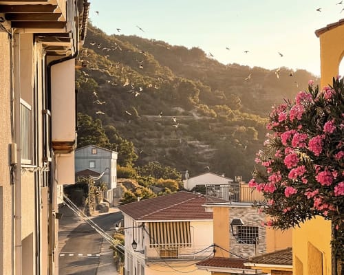 Casa Rural Villa del Jerte con vistas a montañas verdes y enredaderas con flores rosas en El Torno, Cáceres