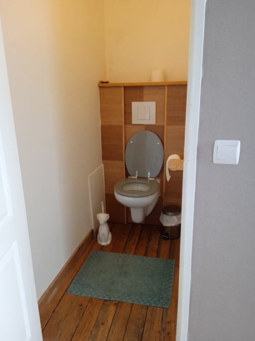 Salle de bains moderne avec toilettes, lavabo, lambris bois et tapis vert à l'hôtel Les Clématites, Saint-Floxel France