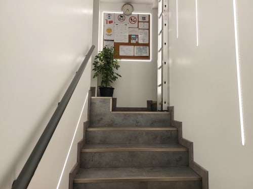 Escalier de la chambre B NancyRoom à Vandoeuvre-les-Nancy avec panneau d'affichage, plante en pot et rampe