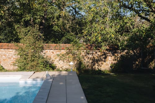 Terrasse piscine de La Maison D'olivier avec terrasse en bois, mur de pierre couvert de lierre et verdure luxuriante à Mesnard La Barotière