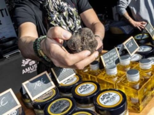 Person holding truffle sample at Les Arcs sur Argens wine and truffle tasting event, Provence France