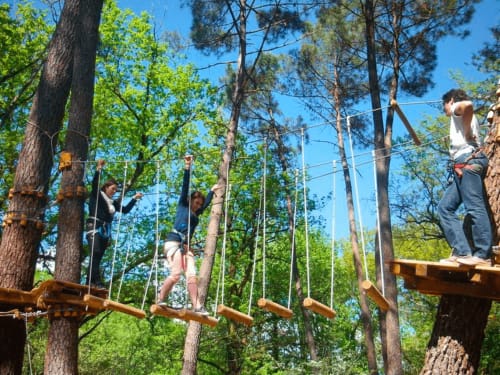 Adventure park obstacle course with visitors navigating rope bridges between trees at Domaine De Campagnac, Carsac-Aillac
